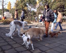 2 Tokyo parks open special areas where dogs can run free